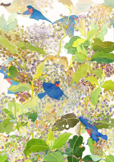 Milkweed Bloom. Watercolor, 40" X 30". 2016.